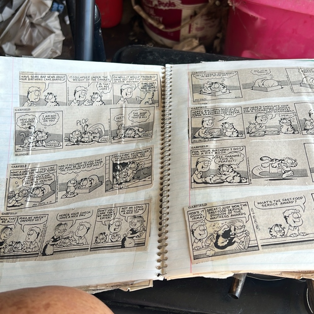 Garfield - Picture 3 of 5